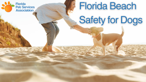 Florid dog beach safety