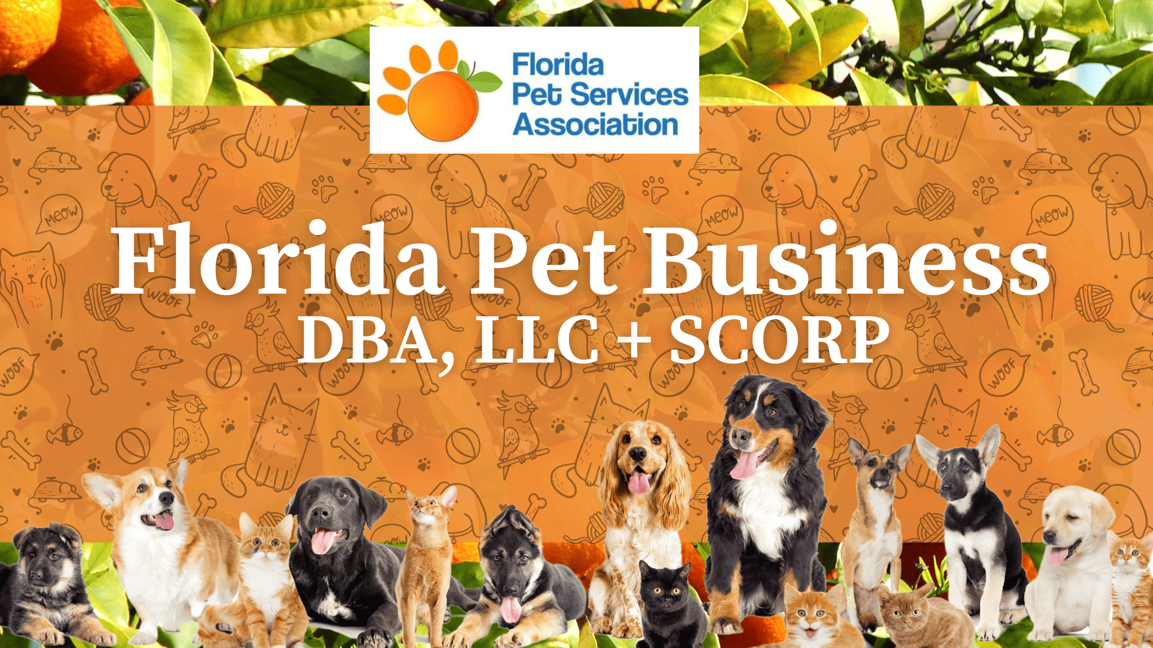 Scorp, DBA, LLC Blog Banner